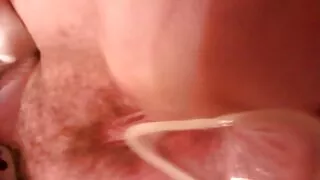 සුදු කළු ද්විත්ව විනිවිදභාවය සමග සතුටු වේ.