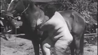 ඇය doggy style කෙළ ගසා කුකුළා උරා දුන්නා.