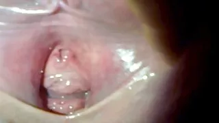 කණ්නාඩි දාපු නෝනා.