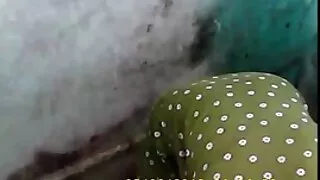 ස්ලින්ඩර් වාඩි වෙනවා කුකුළා මත.